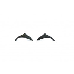 Pair of Dolphins