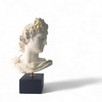 Bust of Apollo on Base – Replica of Ancient Greek Sculpture