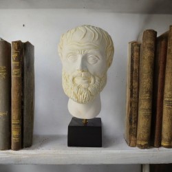 Greek philosopher Aristotle, bust