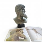 Artemision Poseidon or Zeus No 341 Artemision Poseidon or Zeus No 341
