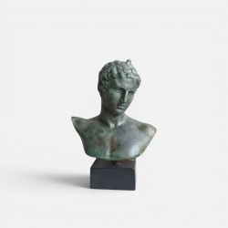 Bust of the Ephebe (Youth) – National Archaeological Museum Replica (17cm)