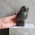 Athenian Owl of Athena – Bronze Patina Ceramic Statue (14 cm / 5.5 in)
