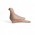 Archaic dove